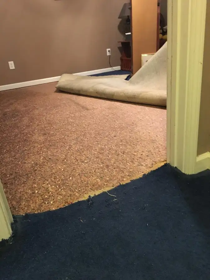 Carpet pad removal revealing water damage during Water Mitigation Services in North St. Paul